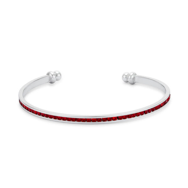 BC00072R V10 1 lg Ugntyv